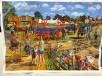 Gibsons Vet on Duty - obrázek puzzlí