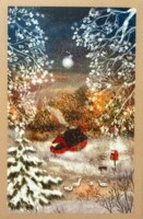 Trevell Winter at Home - puzzle image