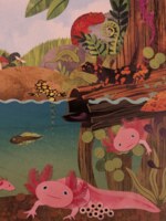 Greenbox Marsh Meadows--Axolotl - Puzzlebild