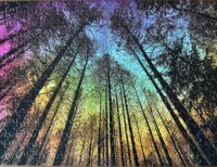 MJYPHDM Aurora Forest - imagen del puzzle