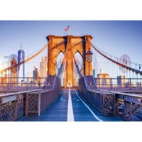 Alipson Brooklyn, New York - puzzle image