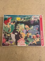 Nathan Le concert - image du puzzle