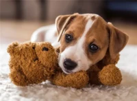 Ravensburger Cuddle buddies - image du puzzle