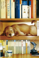 Renoir Puzzle A Sweet Dream in the Bookshelf - パズル画像