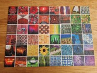 speedpuzzle.eu What a colorful World - puzzle image
