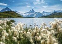 Ravensburger Beautiful Switzerland Bachalpsee bei Grindelwald - パズル画像