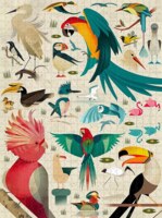 Crocodile Creek World of Birds - puzzle image