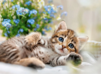 Ravensburger A Bouquet of Sweetness - obrázek puzzlí