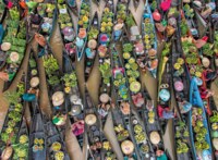 Ravensburger Floating Market, Indonesia - imagen del puzzle