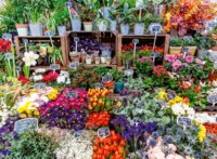 Ravensburger Flower Market, France - image du puzzle