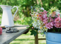 Ravensburger Sommerbunte Löwenmäulchen - image du puzzle